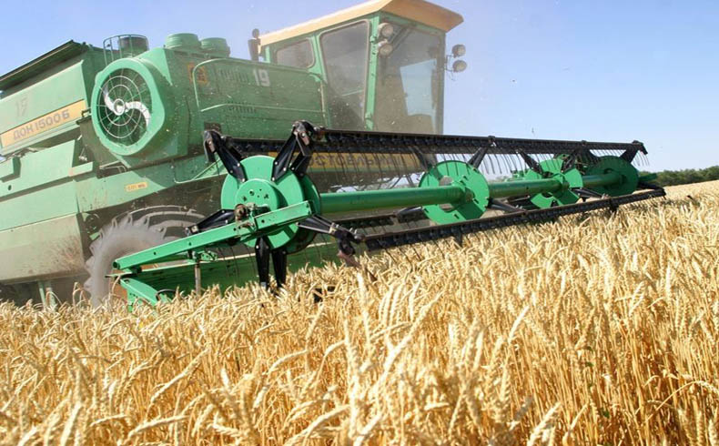 Según su primer ministro, las exportaciones agrícolas de Ucrania se incrementaron un 32 por ciento en seis meses