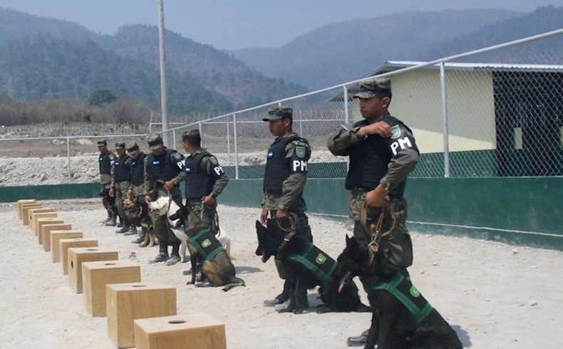 Honduras cuenta con el primer batallón canino de las Fuerzas Armadas para combatir el crimen