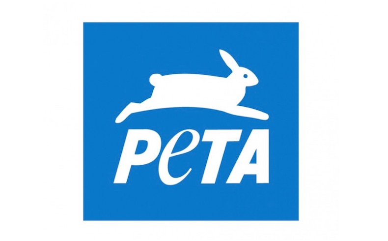 La CBS rechaza el “spot” pornográfico de PETA para la Super Bowl